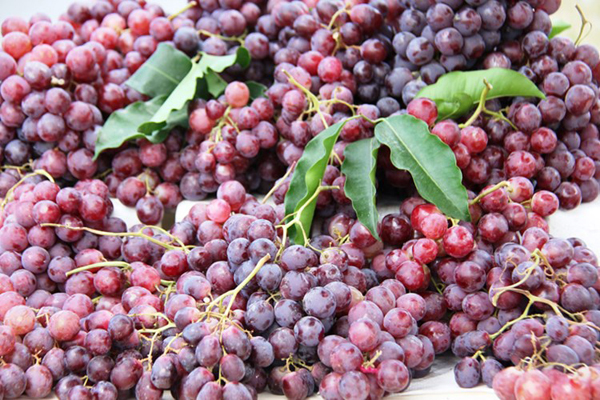 15 THỰC PHẨM CHỨA NHIỀU HÓA CHẤT NHẤT